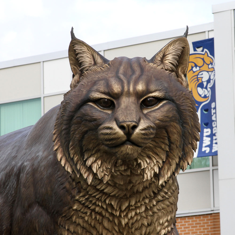 wildcat2 1