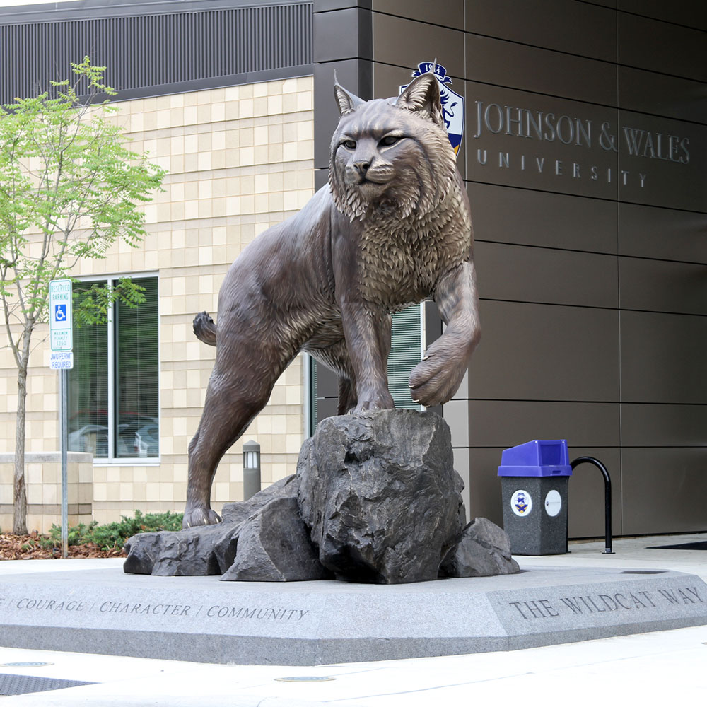 wildcat8