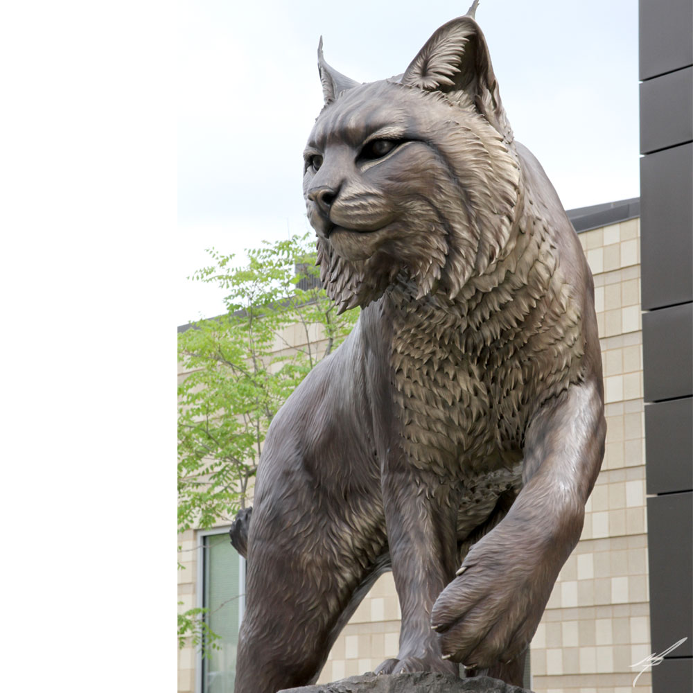 wildcat 1