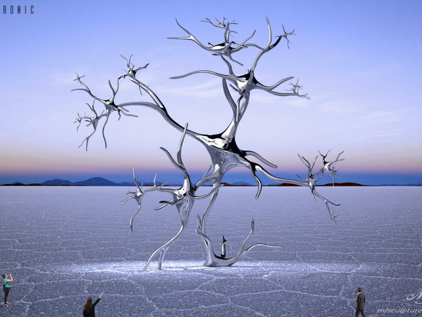 2Salt Flats Neuronic2